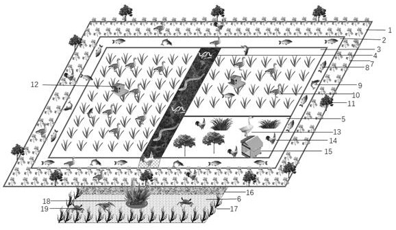 Construction method of biological multi-purpose mutual-aid farmland ecosystem