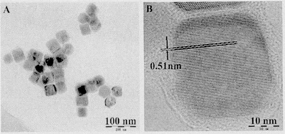 Methylene-blue-based upconversion nanoparticle-modified fibration paper sensor for detecting telomerase and preparation method thereof