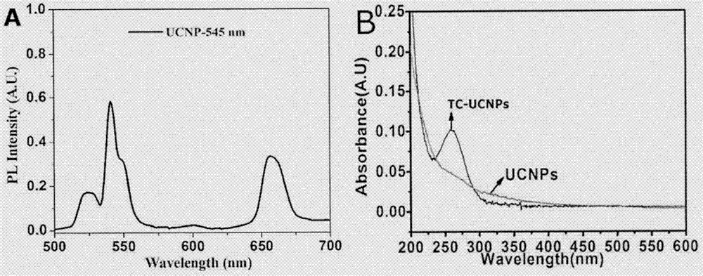 Methylene-blue-based upconversion nanoparticle-modified fibration paper sensor for detecting telomerase and preparation method thereof