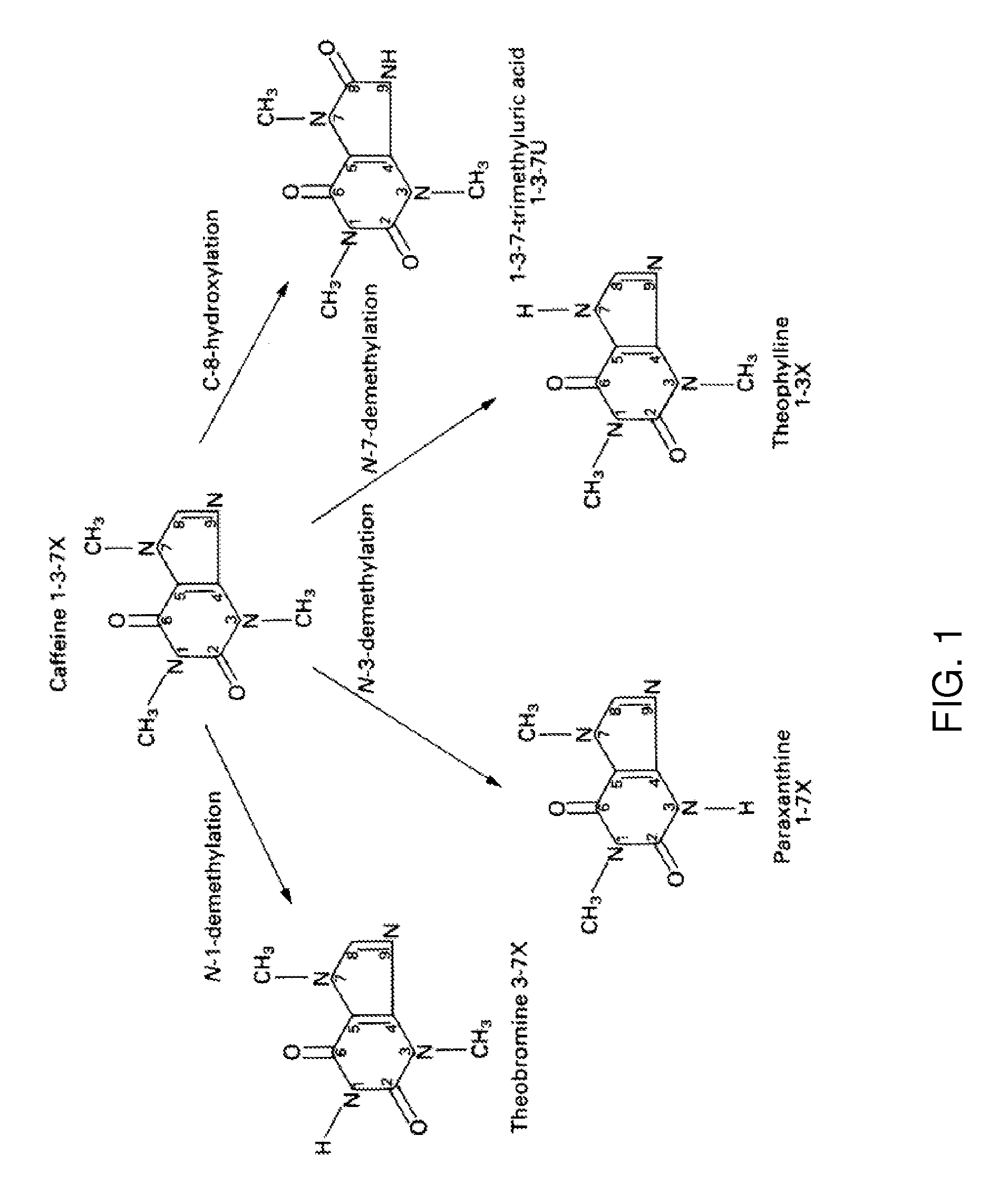 Rutaecarpine derivatives for activating cyp1a2 in a subject