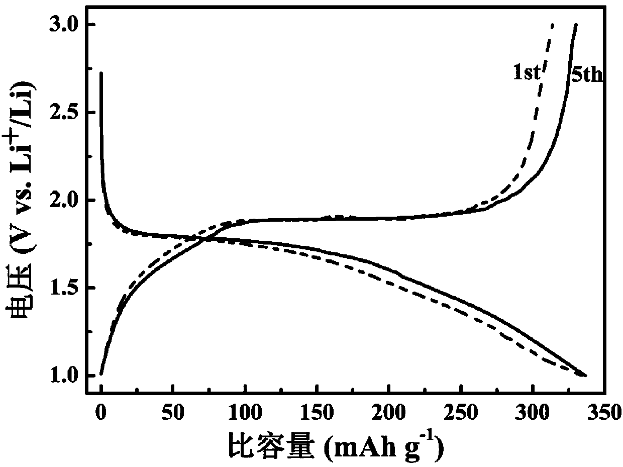 Anode material for lithium-sulfur batteries and preparation method of anode material