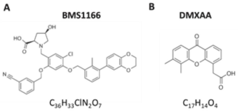 Application of combination of PD-1 inhibitor and STING agonist in tumor treatment