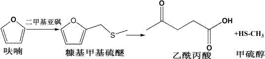 Method used for preparing acetylpropionic acid based on catalysis of furan with acid catalyst