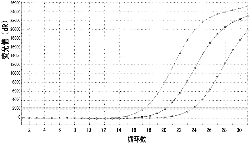 Method for enriching specificity of circulating tumor cell