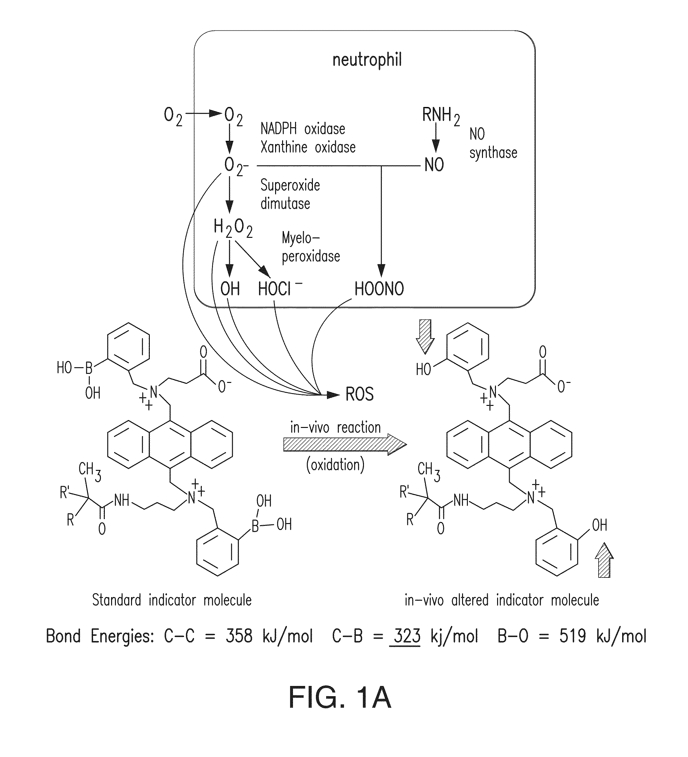 Integrated catalytic protection of oxidation sensitive materials