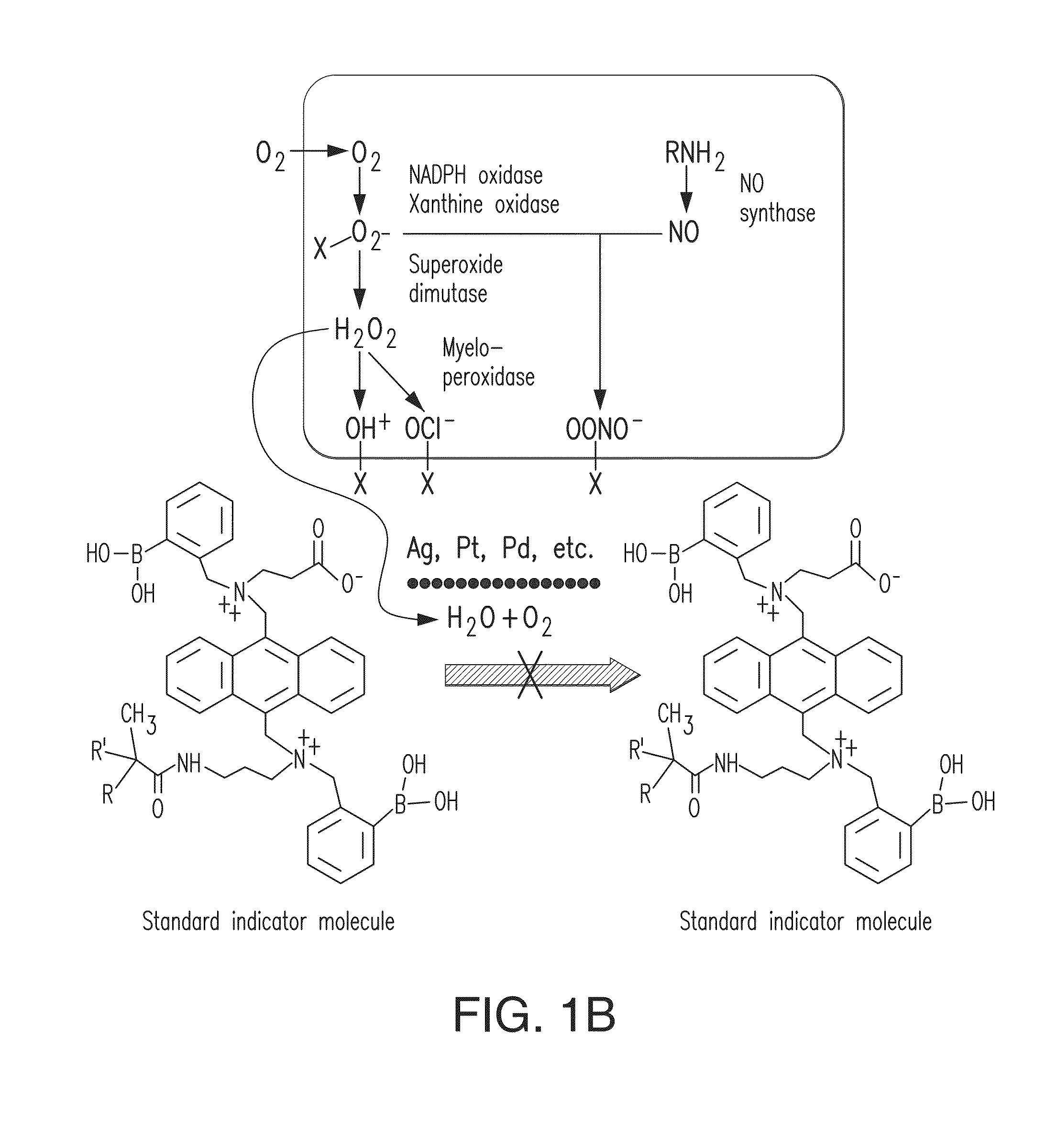 Integrated catalytic protection of oxidation sensitive materials