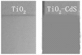 Photoelectrode for producing hydrogen and oxygen by photoelectro-chemically decomposing water, preparation and application thereof