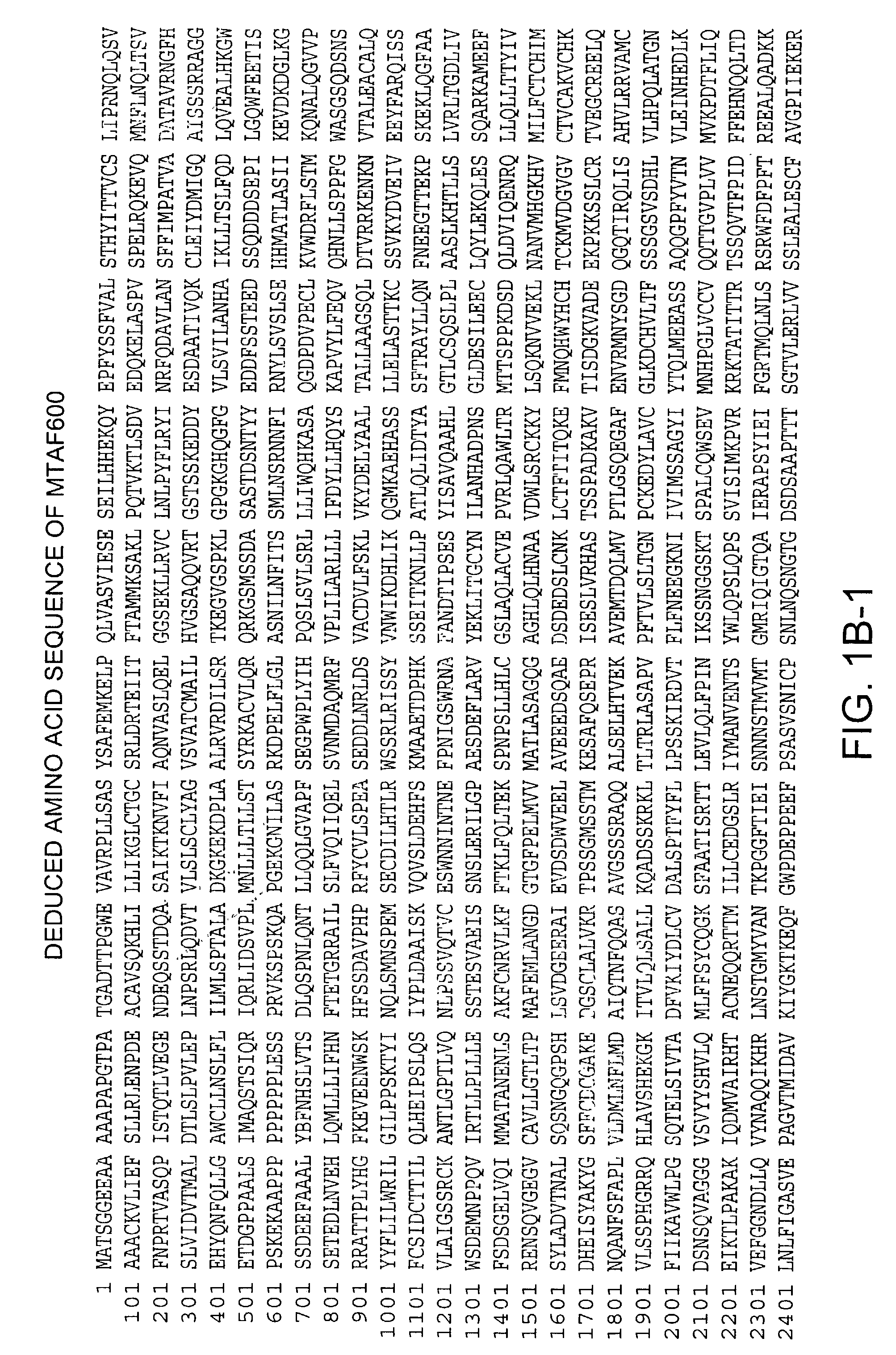 Methods and compositions for modulating tumor suppression
