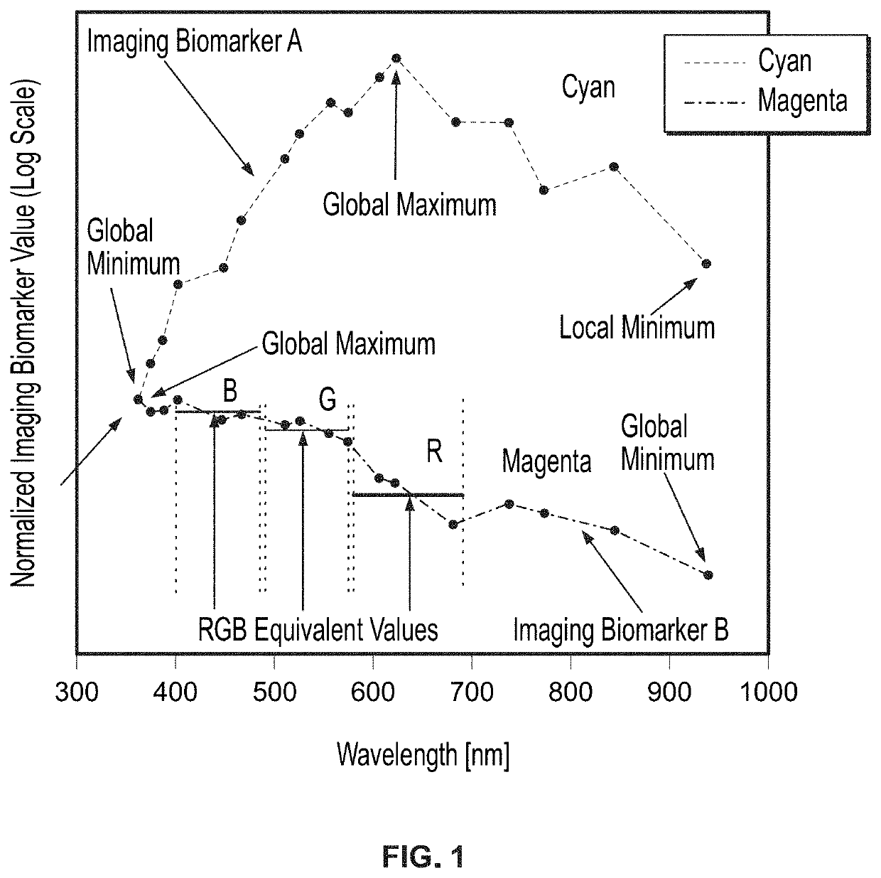 Hyperspectral imaging in automated digital dermoscopy screening for melanoma