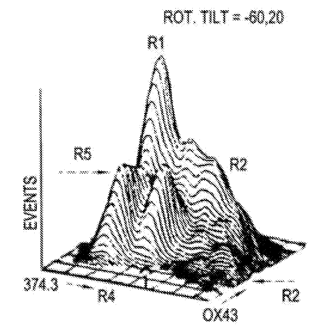 Hepatoblasts and method of isolating same