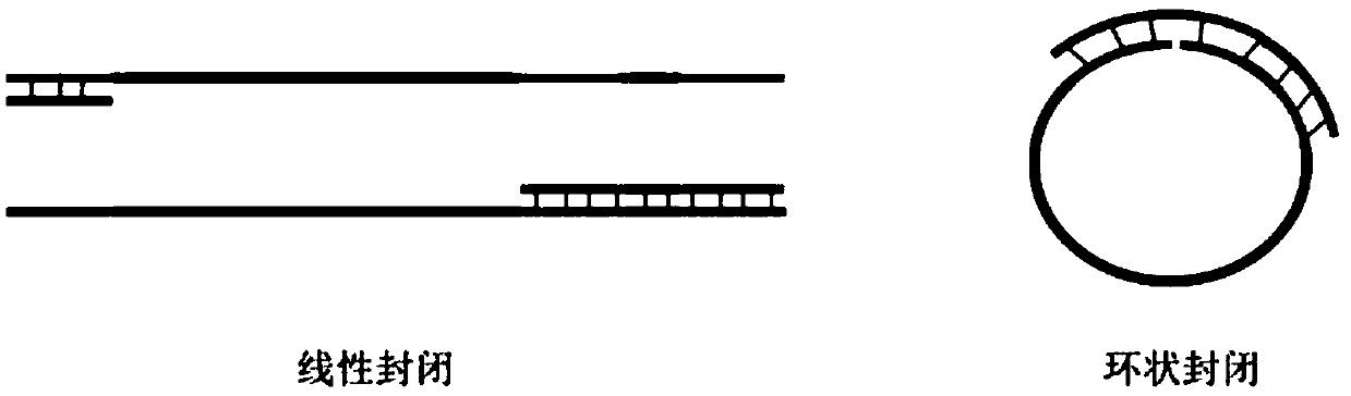 Construction method and application of high-throughput sequencing library