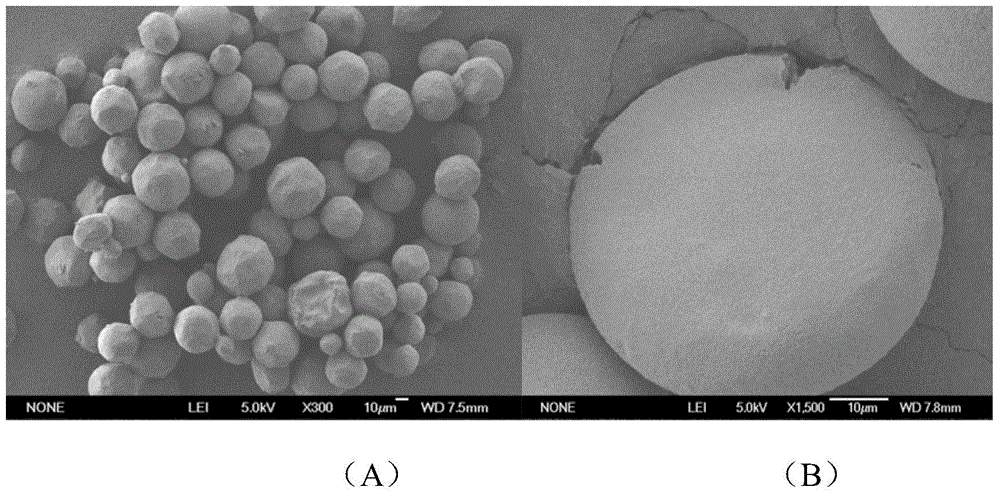 Agar gel microspheres and preparation method thereof