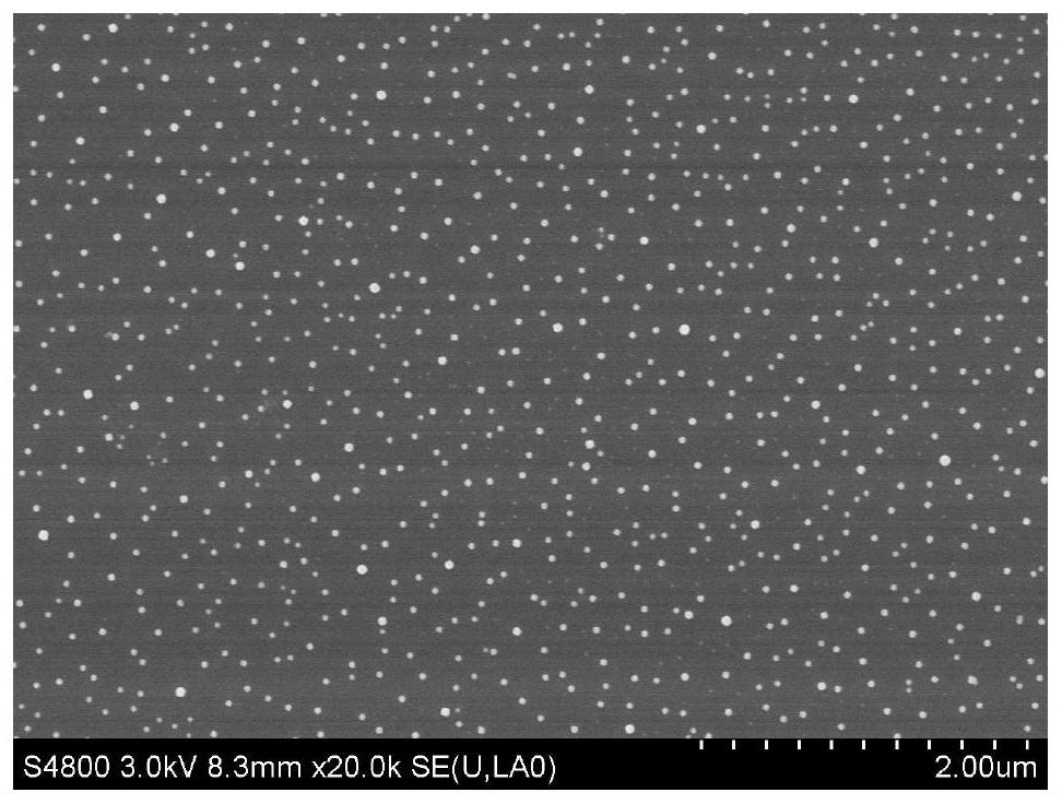 A preparation method of anti-mosquito and antibacterial nano-silver solution with highly uniform particle size