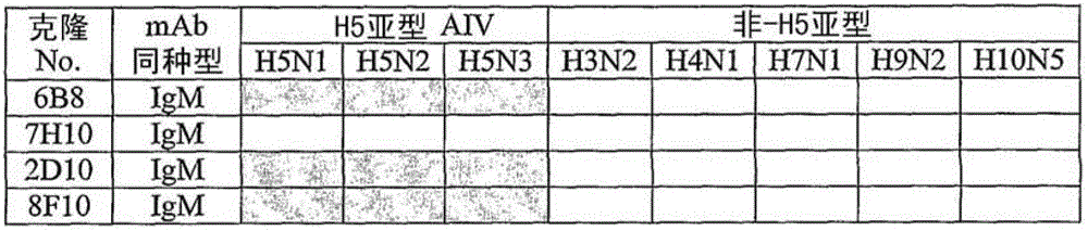 H5 subtype specific binding protein capable of diagnosing and monitoring H5 avian influenza