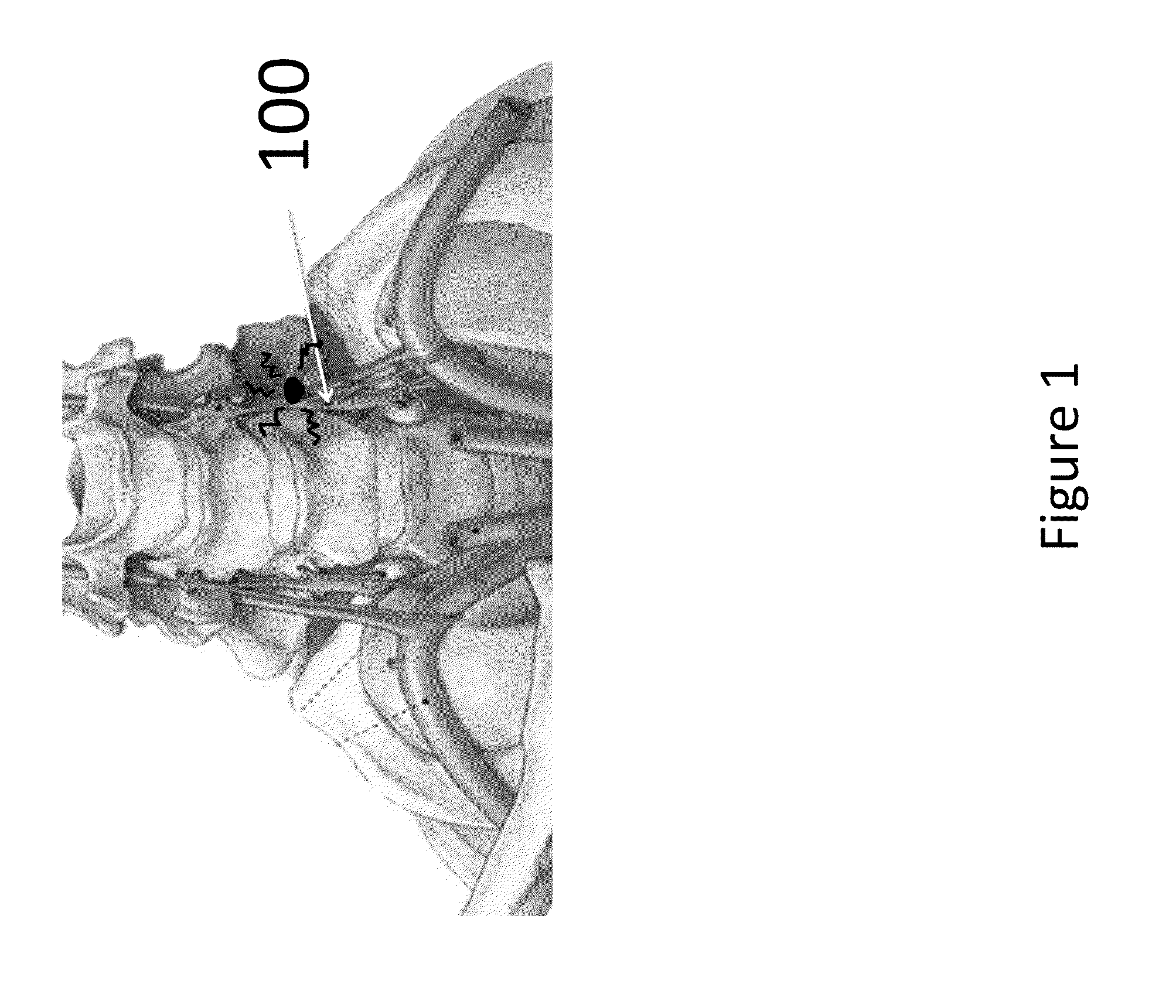 Device and method for interfering with sympathetic chain signaling for attenuating hot flashes, post-traumatic stress disorder, pain and dysautonomia