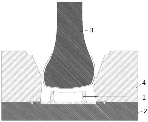 Foaming process for foaming shoe soles