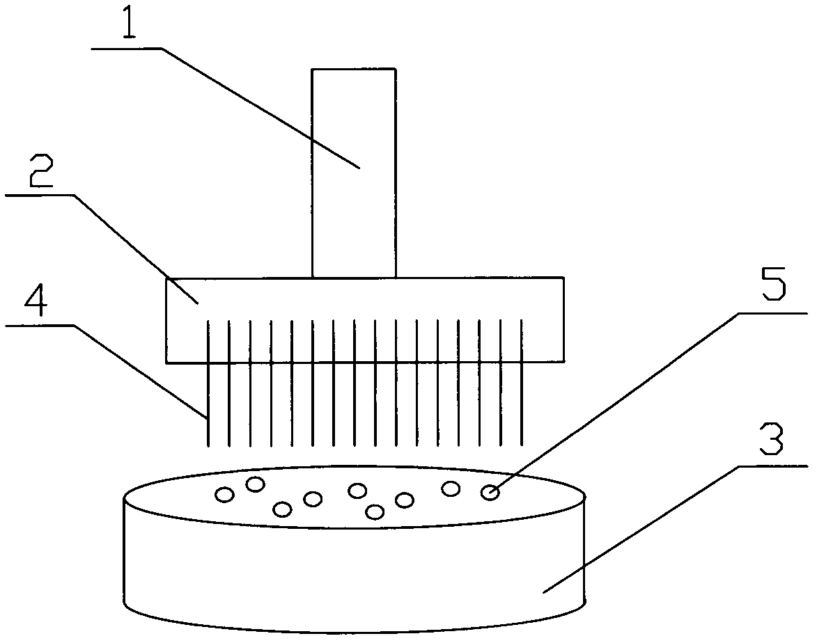 Multi-needle vibrator