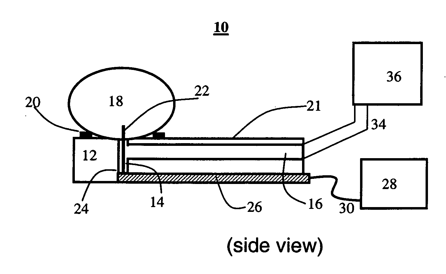 System for and method of positioning cells and determing cellular activity thereof