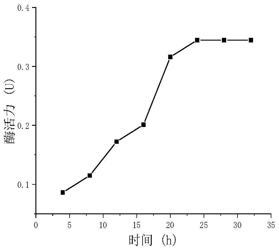 Preparation method and application of passiflora edulis peel polysaccharide degraded by using lactobacillus brevis produced enzyme