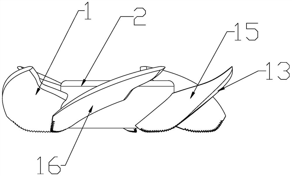 Bionic axial flow wind wheel