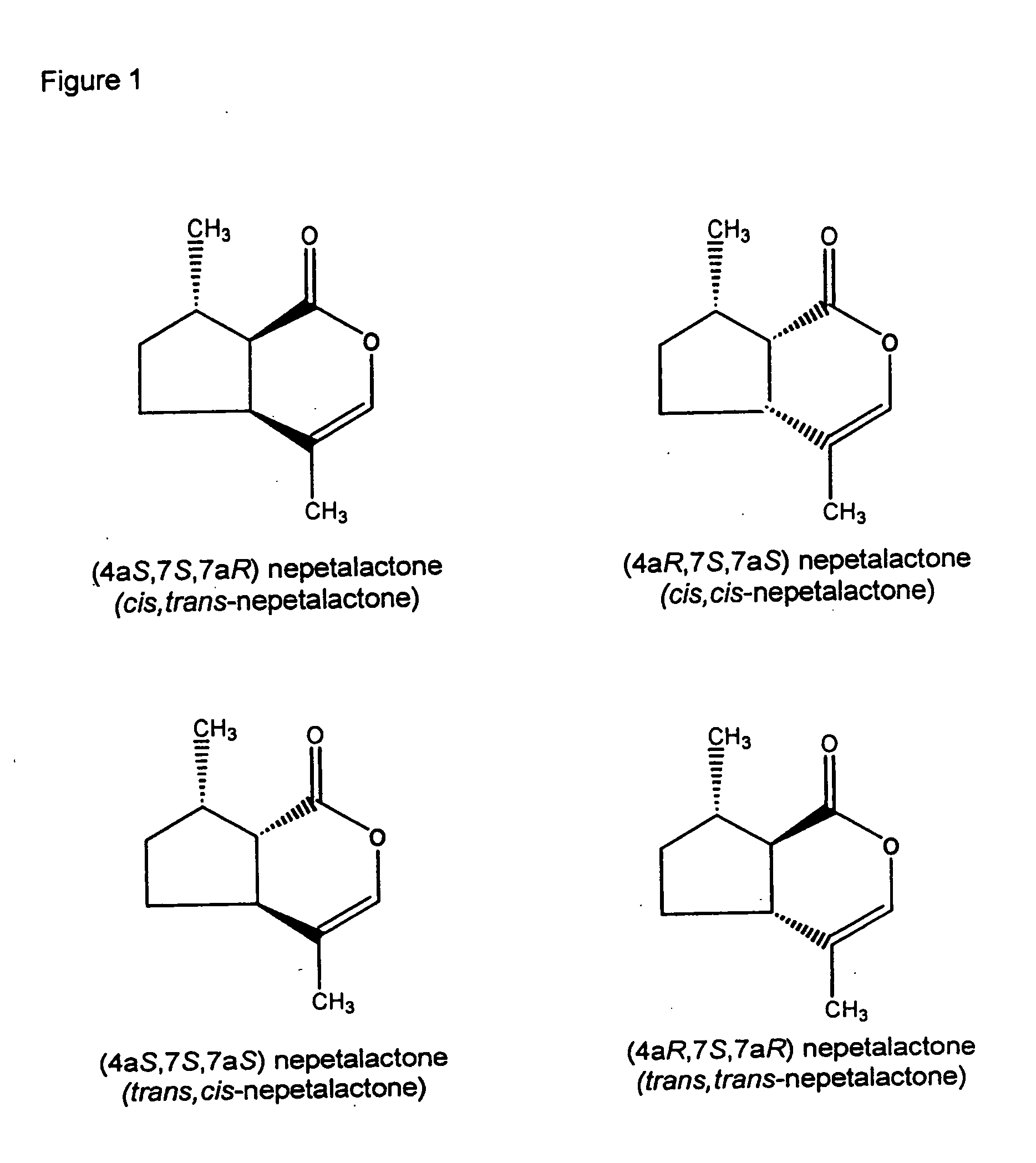 Insect repellent compounds