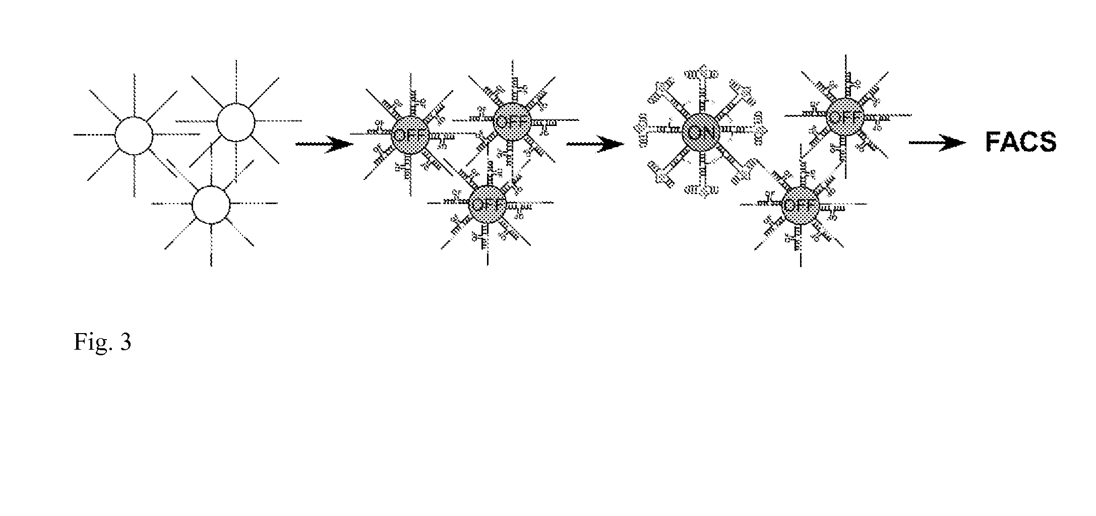 Method of rapid isolation of aptamer beacons