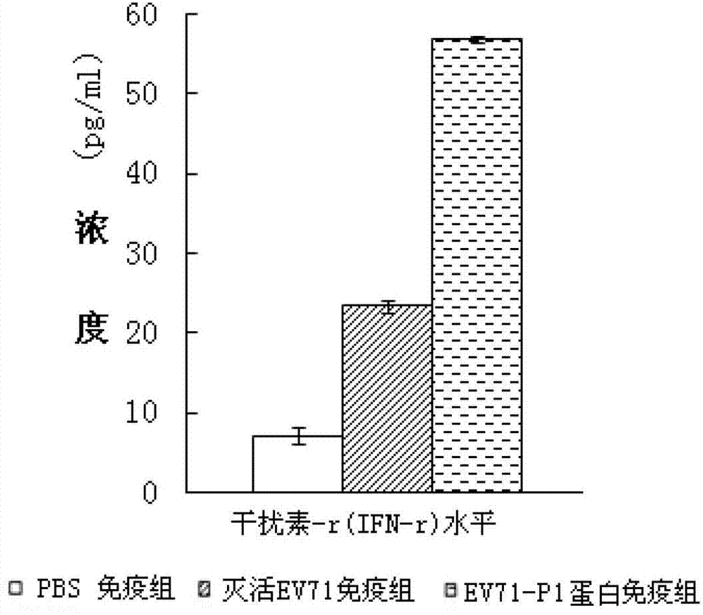 Genetic engineering protein vaccine for preventing EV71, and preparation method thereof