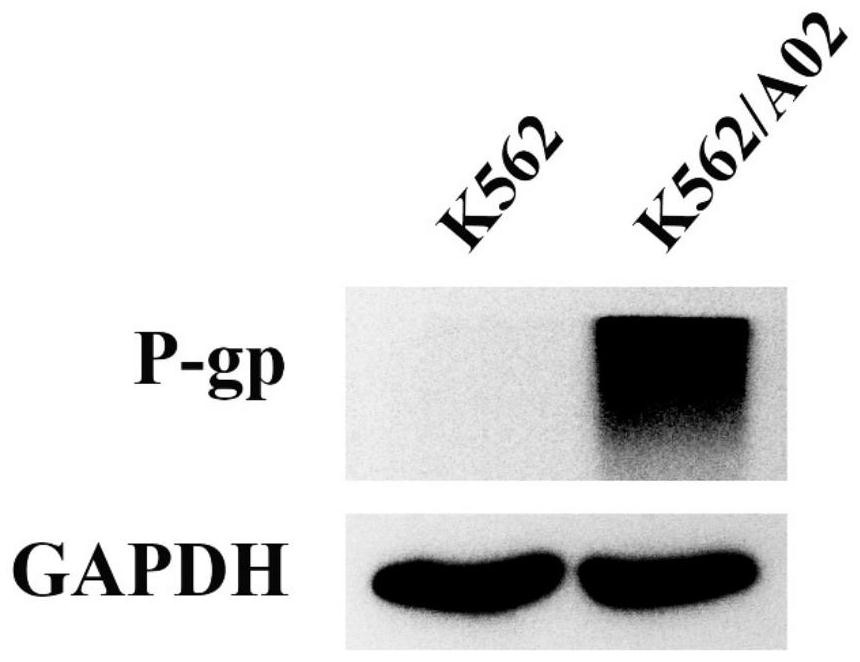 N-phenyl alkoxy dibenzazepine compound as well as preparation method and medical application thereof