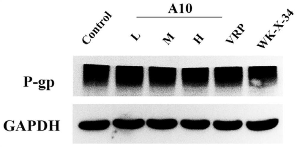 N-phenyl alkoxy dibenzazepine compound as well as preparation method and medical application thereof