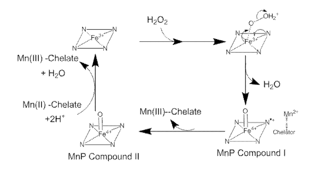 Enzyme Formulation and Method for Degradation