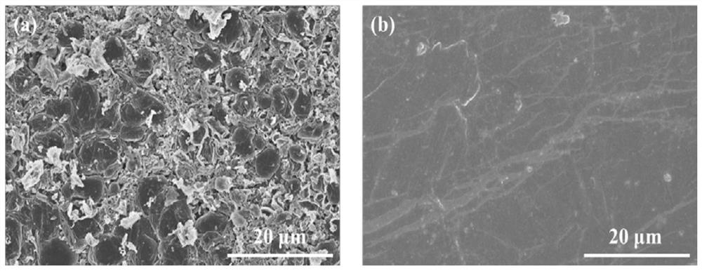 Preparation and application of lithium metal negative electrode based on aromatized nitrate free radical modification