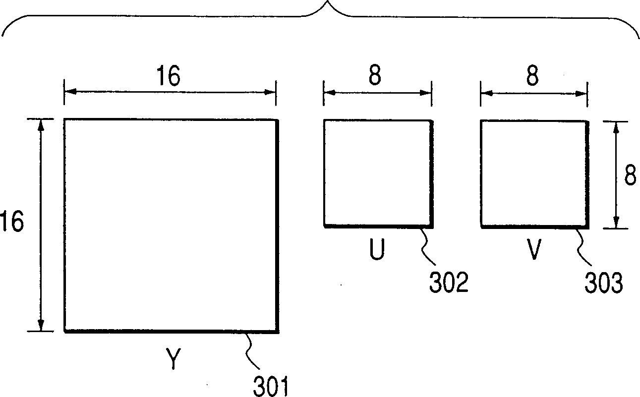 Sport image coding method and decoding apparatus