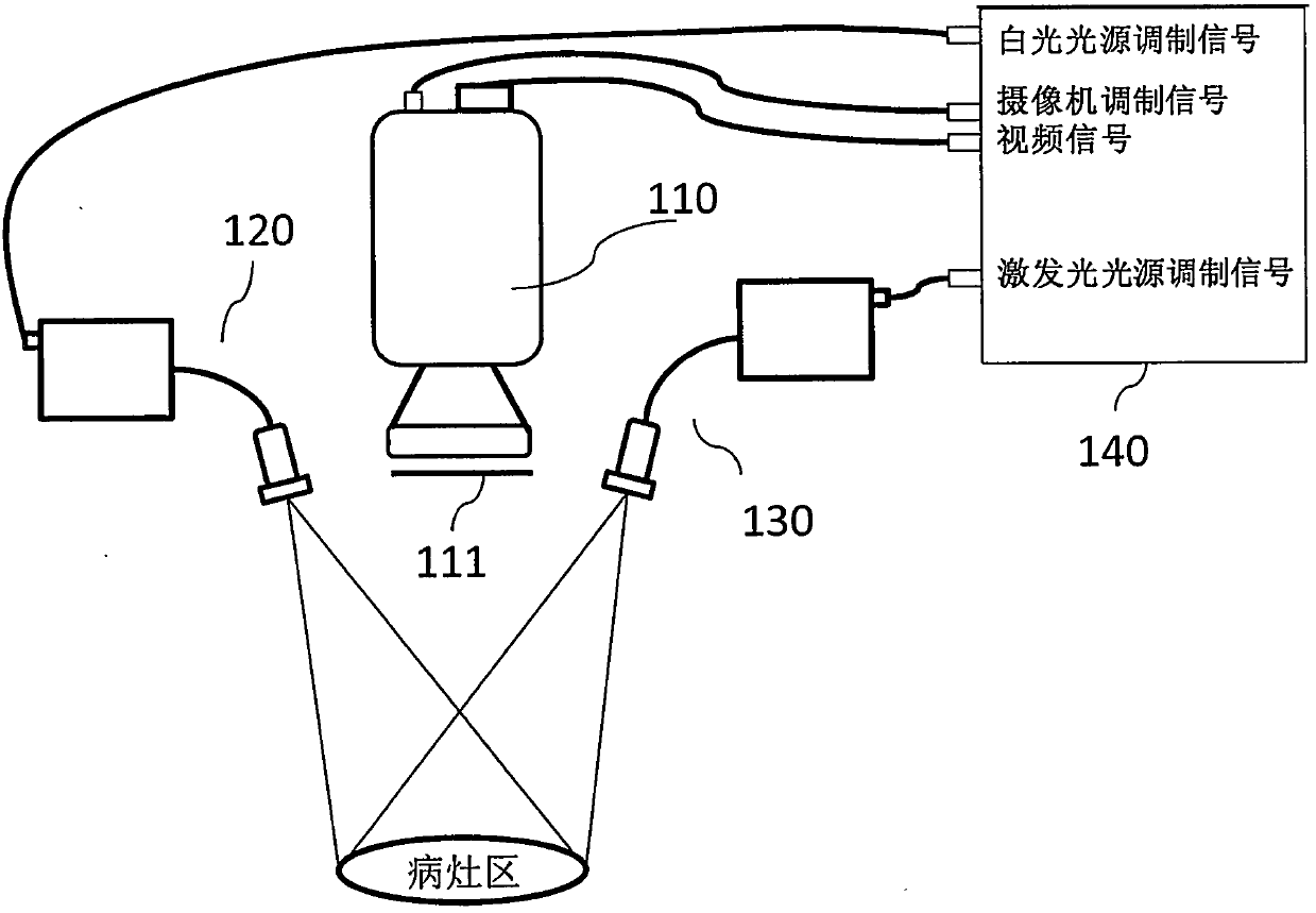 Fluorescence imager and method for imaging lesion area