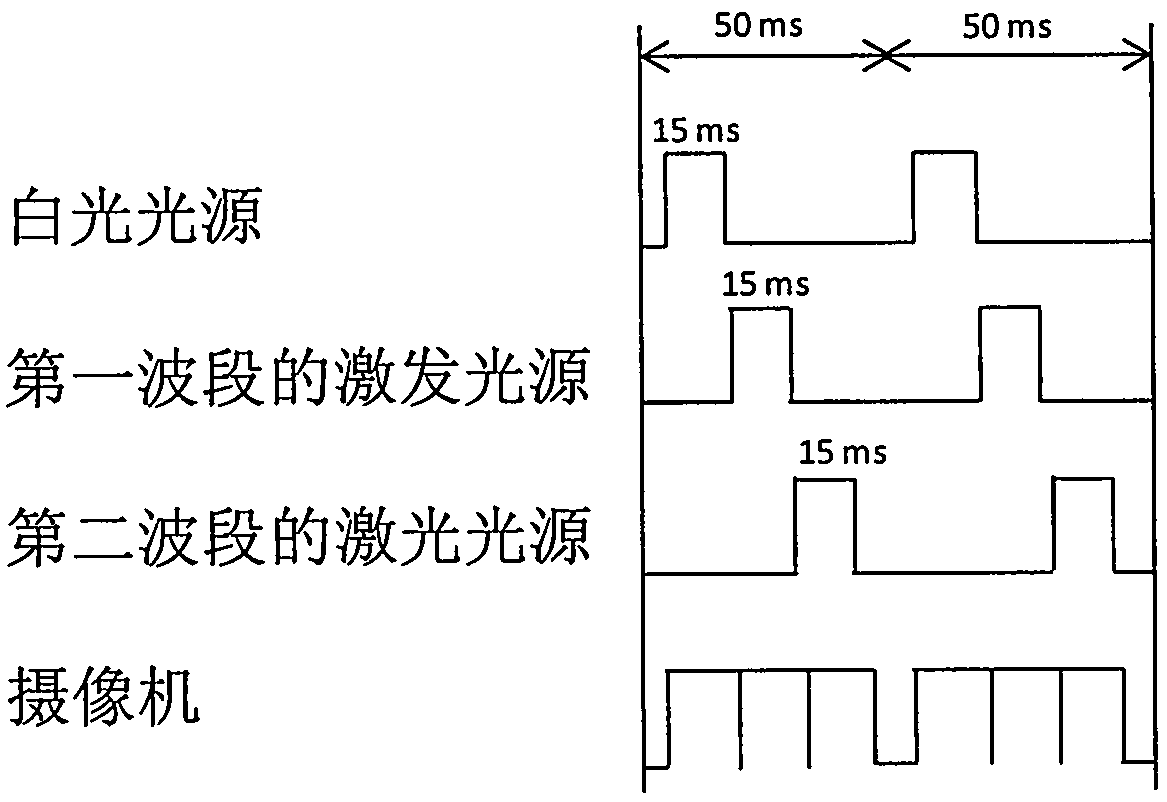 Fluorescence imager and method for imaging lesion area