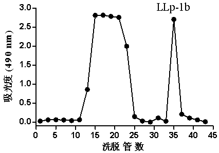 A kind of coagulation-promoting privet flower polysaccharide and its extraction and separation method and application