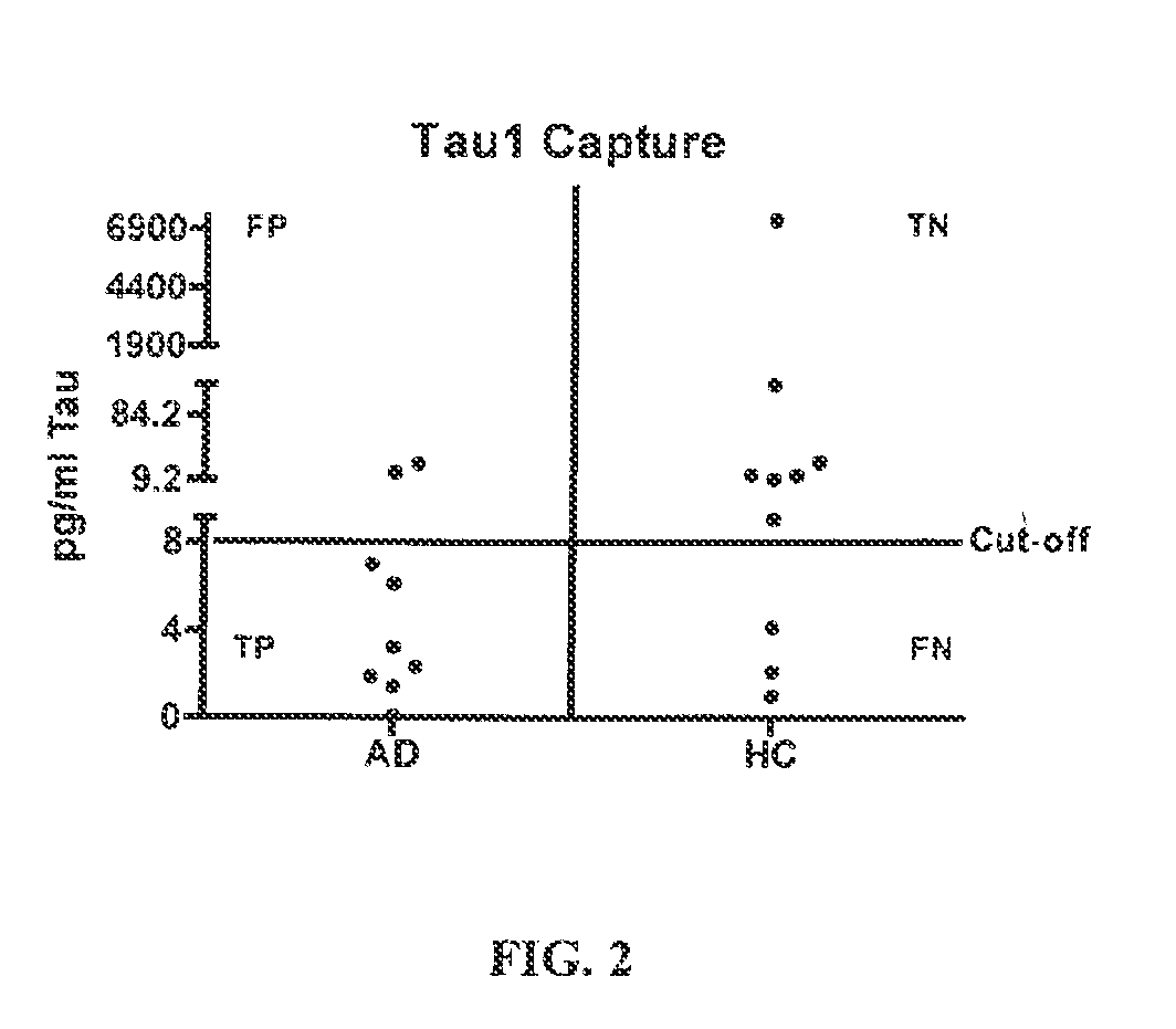 Method of detecting tau protein and tau fragments in serum