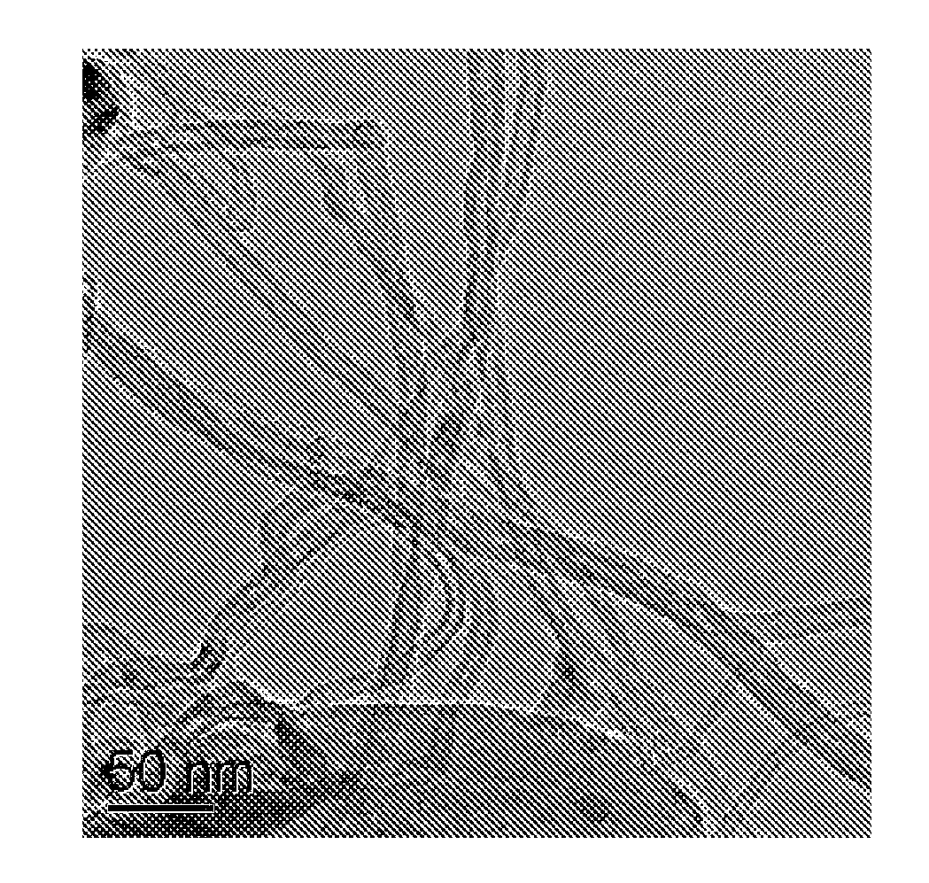 Electrode Catalyst of Carbon Nitride Nanotubes Supported by Platinum and Ruthenium Nanoparticles and Preparation Method Thereof