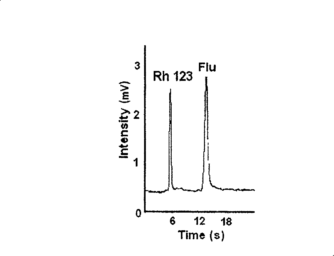 Micro flow control chip capillary electrophoresis negative pressure sampling method