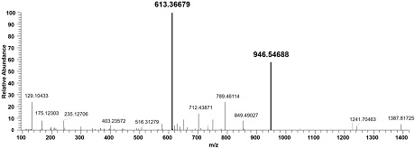 A liquid chromatography-tandem mass spectrometry-based method for the detection of Apis mellifera mrjp1 and its application in the identification of Apis mellifera honey