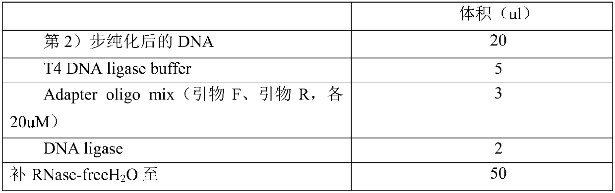 Preparation method of capture probe of large-fragment genome as well as kit