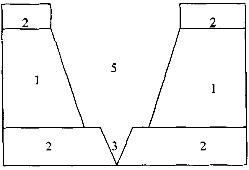 A tunnel probe for scanning the tunnel microscope and its making method