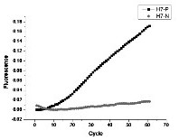 Method for detecting H7 subtype avian influenza virus without amplification based on Cas13a