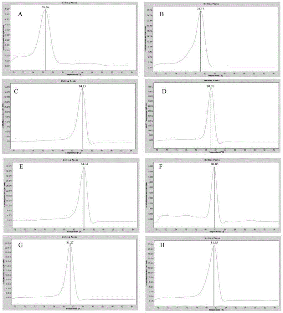 Kit for detecting eight staphylococcus aureus drug-resistance genes and detection method