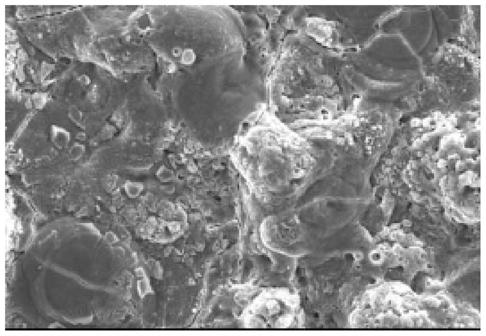 Extinction golden electrophoresis aluminium alloy and preparation method thereof