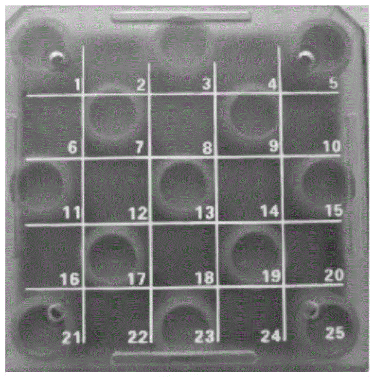 A Method for Batch Freezing Grouper Sperm