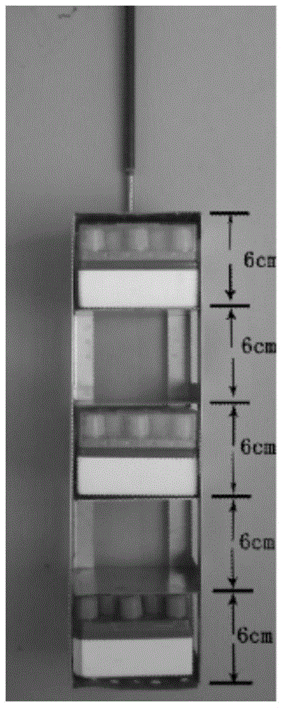 A Method for Batch Freezing Grouper Sperm