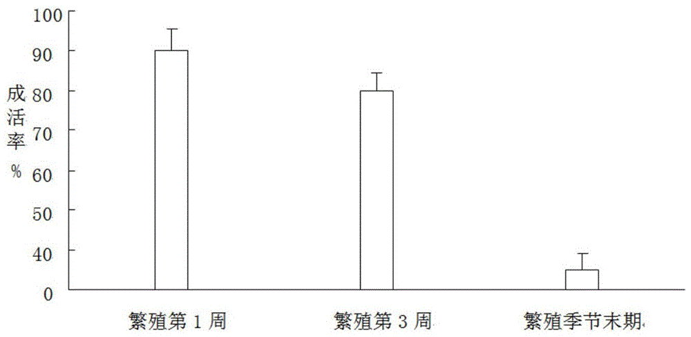 A Method for Batch Freezing Grouper Sperm