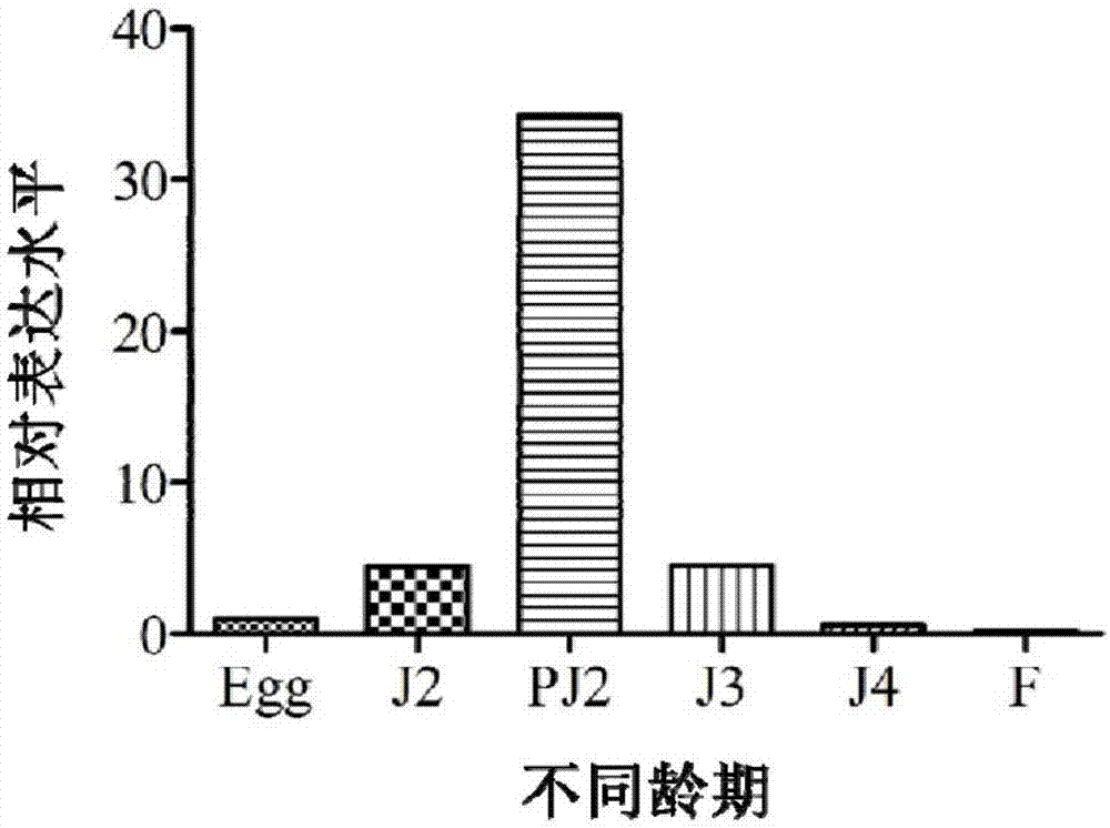 Cereal cyst nematode Ha34609 protein, encoding gene and application of encoding gene