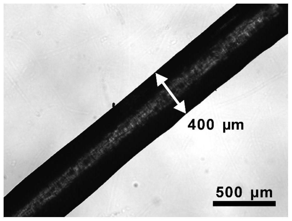 High-toughness poly (p-dioxanone) absorbable silk yarn and preparation method thereof