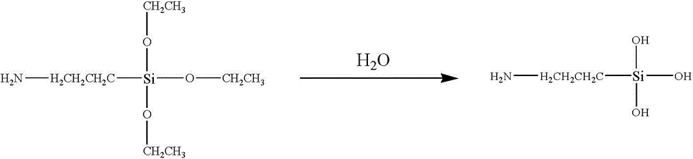 Preparation method of phytic acid polymer and application of phytic acid polymer in field of metal surface pretreatment
